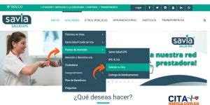 como pedir cita en savia salud por internet|Savia Salud citas médicas por teléfono y en línea